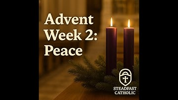 Advent Week 2: Peace