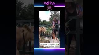Türkan Şoray, çiftlikte huzur dolu bir gün geçirdi! 🌿🐴