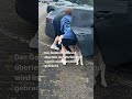 Drama im Movie Park: Hund stundenlang in der Hitze im Auto eingesperrt! 🐶🚗