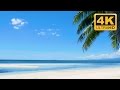 Relaxing Beach Background Video in 4K Ultra HD: Tropical Beach