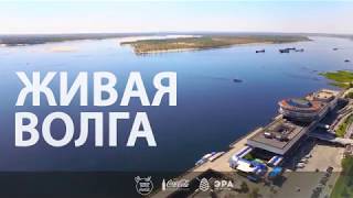Экологический урок "День Волги" Экологический урок "День Волги"