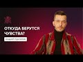 Получить свободу от негатива | Андрей Курпатов