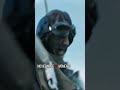 A Hurricane Fighter Jet Uses Its Turbulence To Knock Down A Parachuting Pilot Operation Hurricane 