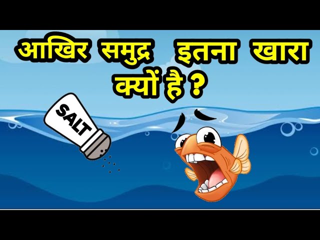 why is sea water salty in hindi - YouTube