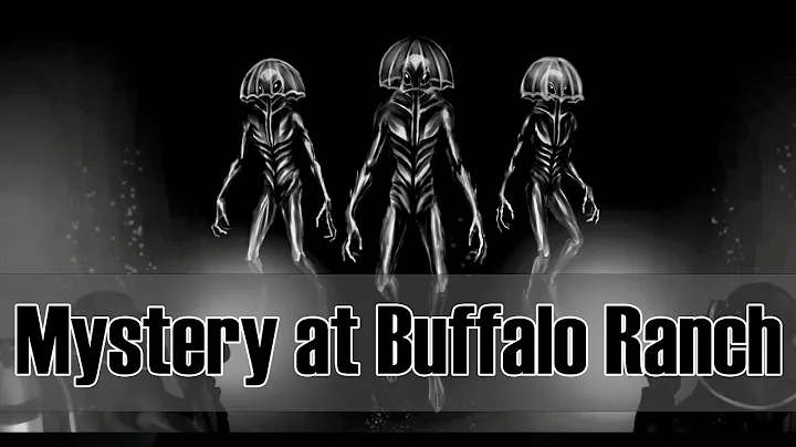 The Lake Baikal Swimmers: Strange Figures in the World’s Deepest Lake!