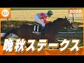 【レース映像】東京10R 晩秋ステークス|キョウキランブ(戸崎圭太)|ウイニング競馬