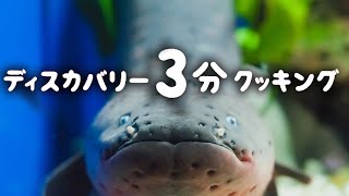 ディスカバリー3分クッキング | デンキウナギの串焼き  (ディスカバリーチャンネル)
