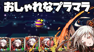 ゼウス プラマラ ゼウス プラマラ