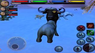 Polar Bear VS Musk Ox, Lynx, Snow Leopard, Wolf, Ultimate Arctic Simulator screenshot 5