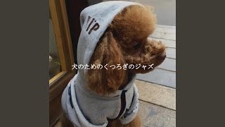 Spacious Music for Calm Momentums