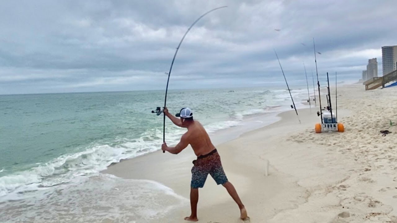 Top 5 BEST Surf Rods Under 100$ DOLLARS! 