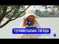 Тернопільська погода на 21 червня 2025 року