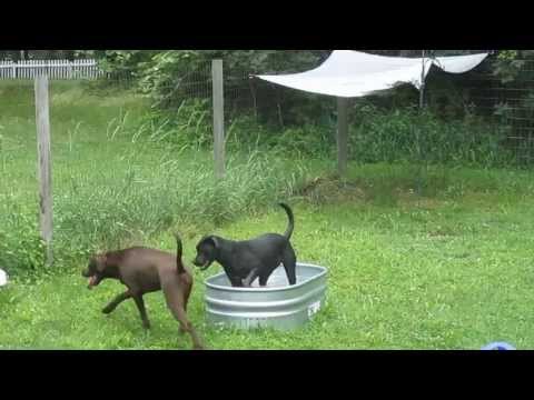 Tang's Play Date with His Brother, Kai at TheFosterMama's House III
