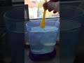day 2 of sea monkeys
