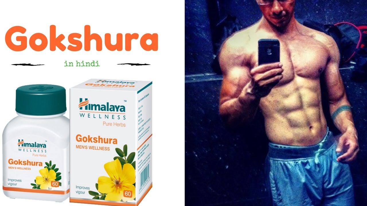 गोक्शुरा Gokshura in hindi Natural testosterone booster YouTube