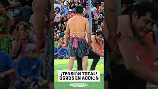 Costumbres y tradiciones #chumbivilcas #takanakuy #mma #ufc #ufc300 #luchalibre #boxylucha #video