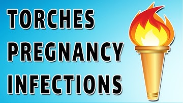 Torches Infections and Pregnancy