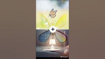 Magical Hybrid Animal Transformation | Fantasy Creature Shorts #shorts #shortvideo  #hybridanimals