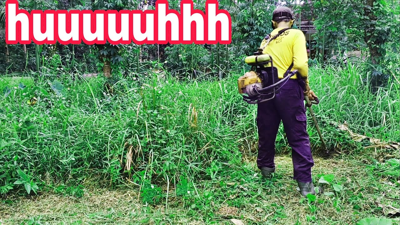 PART2 MAKIN ASIK #mesinrumput