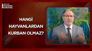 Kurban Ortaklığında Tek Sayı Kuralı Mı Var? Mustafa Karataş Ile Muhabbet Kapısı