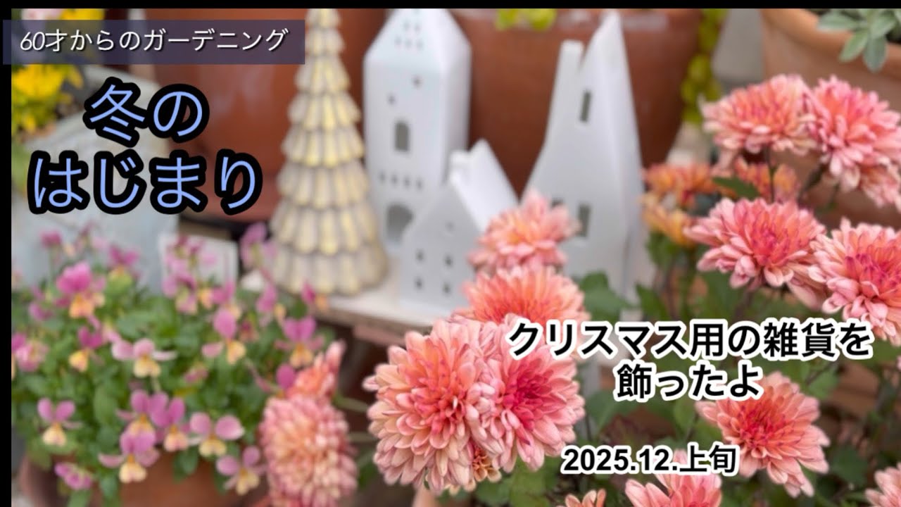 冬のはじまり　ちいさな庭　2025.12.上旬