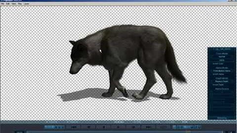 PDPLAYER - 4.Working with Layers, Alpha Channels, Alpha Modes - video tutorial - Chris Nic