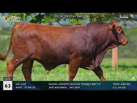 LOTE 063