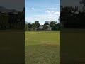 afternoon walk by bird