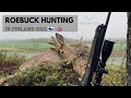 Kaurispukkijahti⎢Roebuck hunting 2021 - Finnishhunt