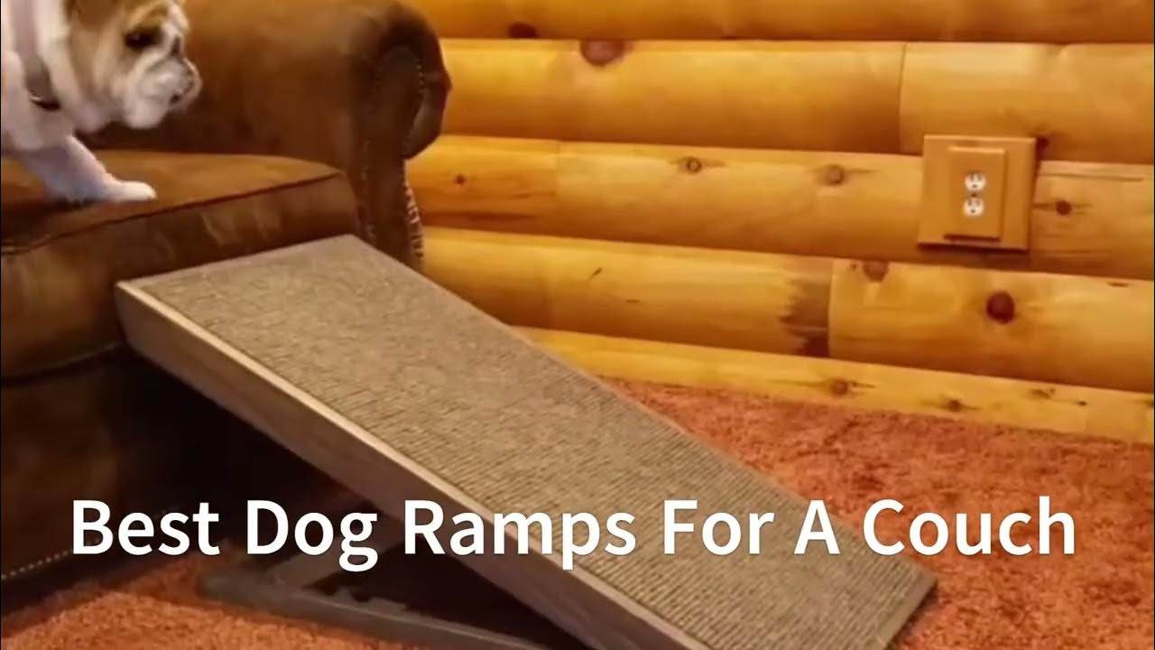 Best dog ramps for a couch YouTube
