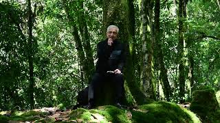 Evangelio De Hoy Martes 27 De Diciembre De 2022 Padre Efraín Arquidiócesis De Manizales