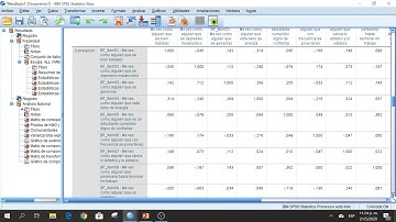 Alfa de Cronbach, Análisis Factorial y Componentes Principales en SPSS | Pablo Vailati 🙋🏼‍♂️