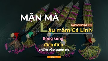 Canh Cá Linh Bông Điên Điển, Mắm Kho Bông Súng - Sản Vật Mùa Nước Nổi Độc Đáo Tại Miền Tây Sông Nước