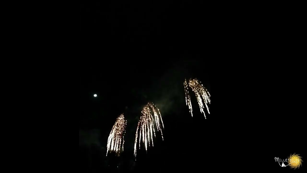 Feux d'artifice mariage  Haut de gamme & sur-mesure