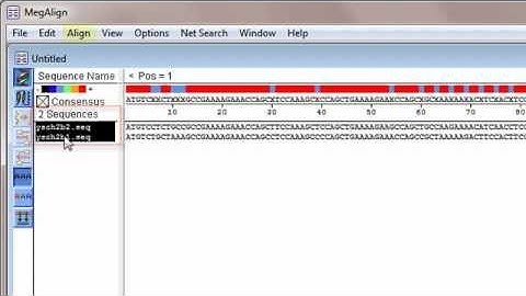 DNASTAR - Performing a Pairwise Alignment