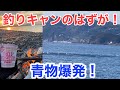 【青物祭り開幕！】釣り納？釣りキャンプのはずが、豪快なナブラで興奮マックスのショアジギング！