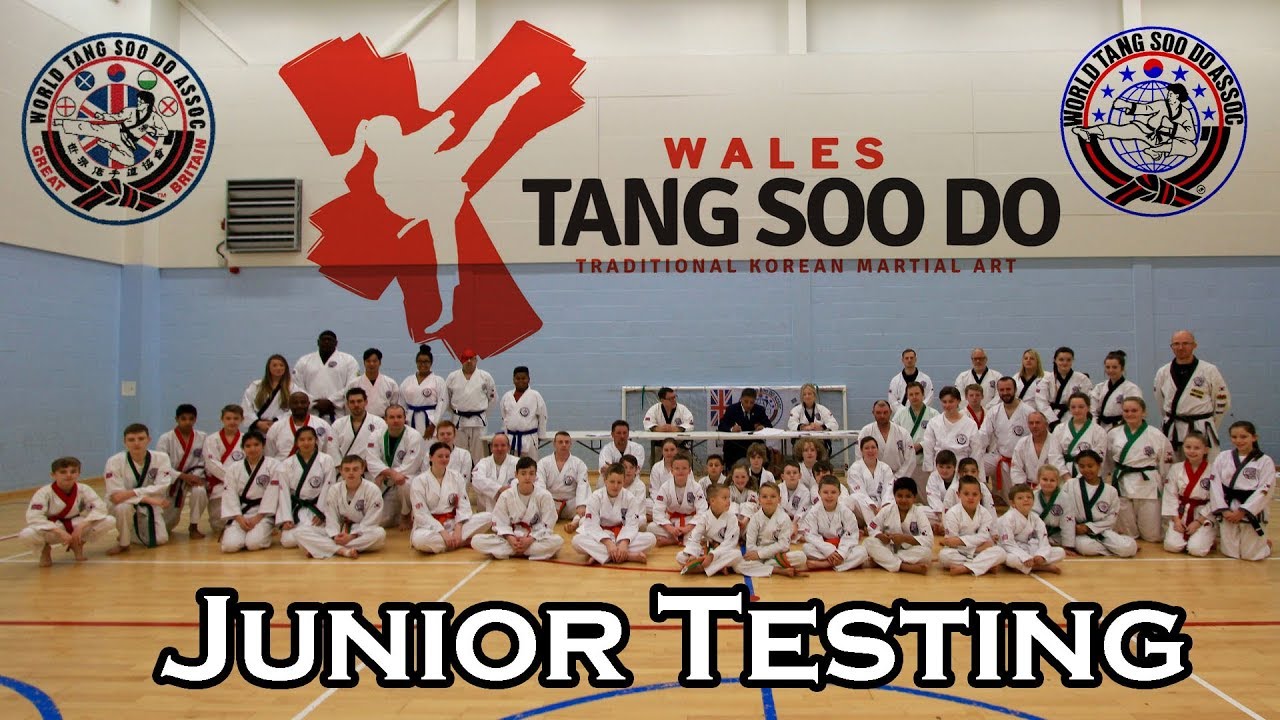 Wtsda Wales Tang Soo Do (WTSDA) Junior Grading November 2017 - YouTube