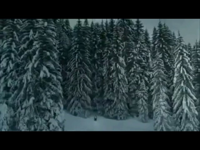 NARGIZ- ti moya nejnost