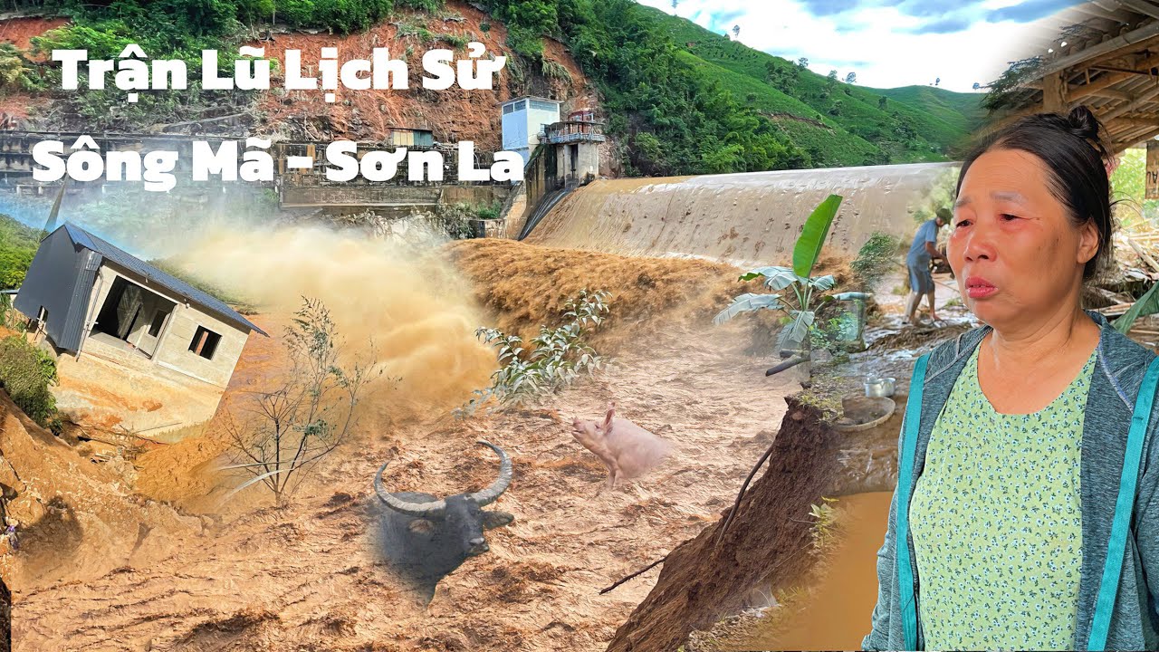 Trận Lũ Lịch Sử Tại Quê Hương Sông Mã - Tỉnh Sơn La 1/8/2025 Cuốn Trôi Hết Nhà Cưa Tài Sản Bà Con