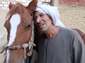 لقاء مع احد اصحاب اسطبلات الخيل والجمال Interview With Horse Stable Owner 