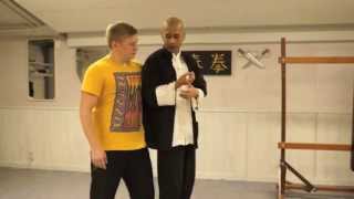 60 Seconds Of Siu Lim Tao - #4 screenshot 3