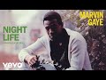 Marvin Gaye, Vandelux - Night Life (Vandelux Remix / Visualizer)