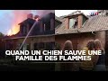 Ref:PjaB0_sBb7w Une famille sauv�e des flammes gr�ce � un chien tf1 info
