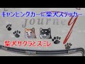 キャンピングカーに柴犬サクラとスミレのステッカー貼りました。