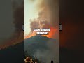 Reforging Resilience After Earth, Flood, and Flame