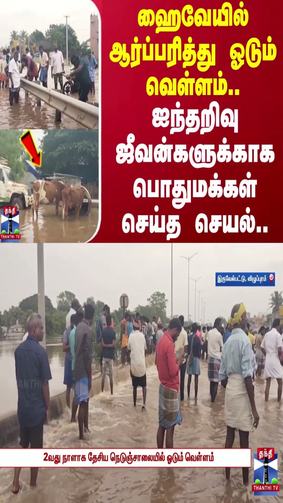 ஹைவேயில் ஆர்ப்பரித்து ஓடும் வெள்ளம்..ஐந்தறிவு ஜீவன்களுக்காக பொதுமக்கள் செய்த செயல்..