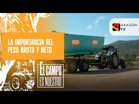 Video: Cosecha de grano bruto