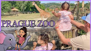 PRAGUE ZOO// Vlog day with our babies // Our life in Prague