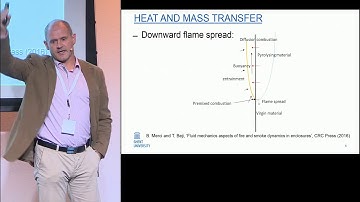 Numerical simulations of flame spread over vertical walls - Bart Merci