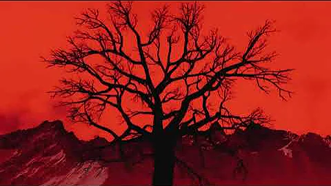 AT THE BEGINNING OF 2026, I SAW MANY BODIES ON THE GROUND.